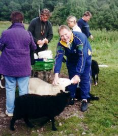 Svart hund, hvit sau og Terje Brandt